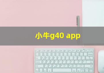 小牛g40 app